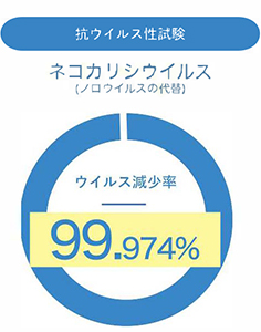 抗ウイルス性試験　ネコカリシウィルス