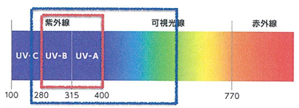 可視光線図
